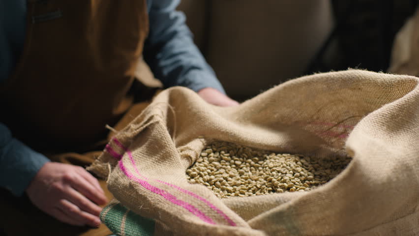 Caucasian man coffee factory worker guy male specialist checking hands arm raw beans burlap sack inspecting texture quality grain control expertise production roasting preparation selection warehouse