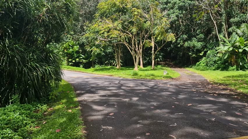 Hoomaluhia Botanical Garden, Rainforest and Landmark of Oahu Island, Hawaii