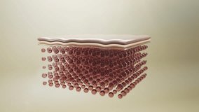 3D animation of structured skin layers with pink collagen cells. Perfect for skincare, moisture, and anti-aging cosmetic visuals. - Powered by Shutterstock - Get 15% off with code: PIKWIZARD15