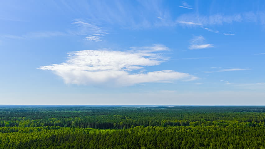 Time lapse of clouds moving over a coniferous forest steppe