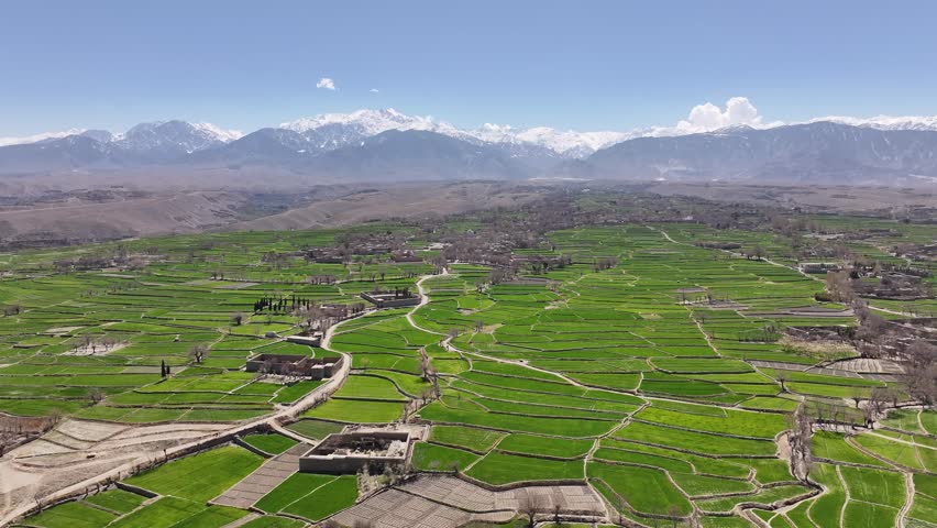Drone Aerial over Nangahar, Nuristan, Afghanistan - Panorama Of Lush Green, Terraced Fields With Mountains In The Distance Under A Clear Blue Sky. - aerial shot