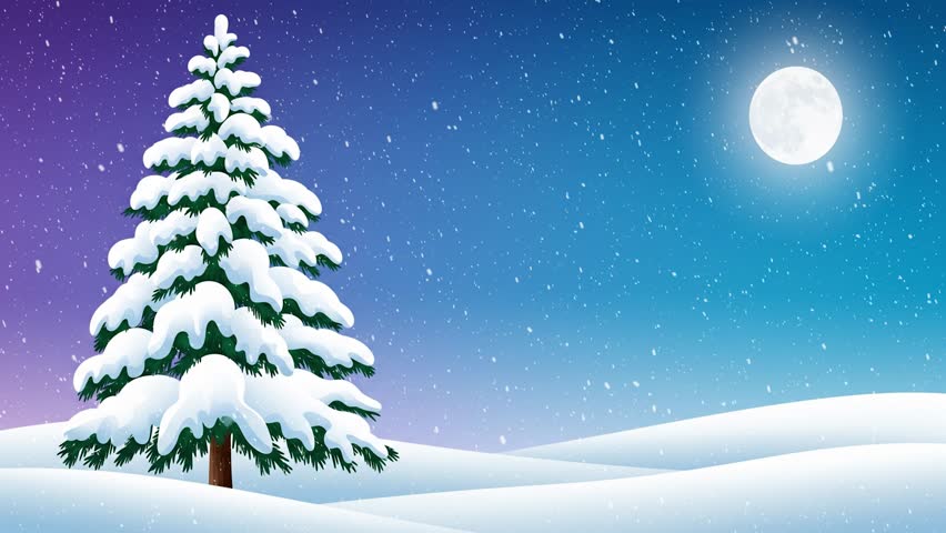Snowy Pine Tree Under Night Sky and Full Moon