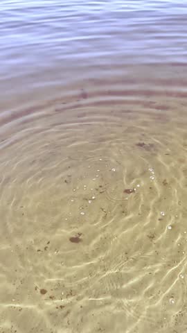Small stone falls into shallow lake water, breaking the surface with visible splash, followed by expanding circular ripples spreading smoothly across transparent sandy bottom. asmr,