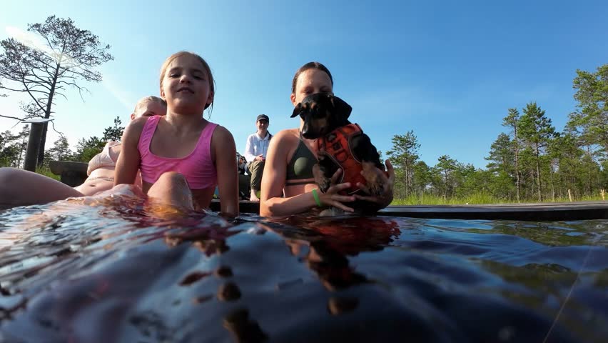 Children swim with a dog dachshund in a pond on a sunny summer day.