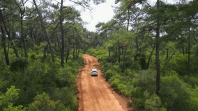 In Turkiye, Turkey a white car drives through a red forest path. Pines and greenery frame the winding road in this cinematic drone perspective of nature travel. - Powered by Shutterstock - Get 15% off with code: PIKWIZARD15