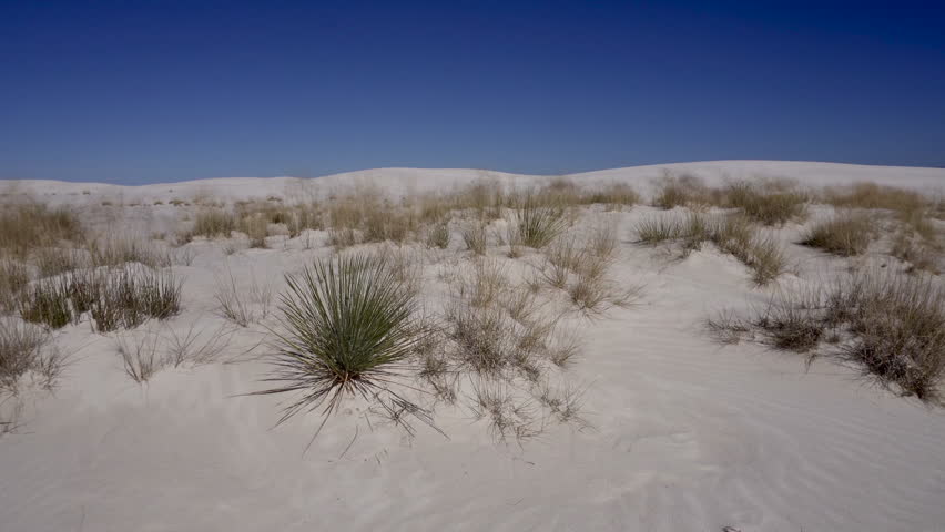 White Sands National Park in New Mexico. A field of white sand dunes composed of gypsum crystals, the largest of its kind on Earth. 