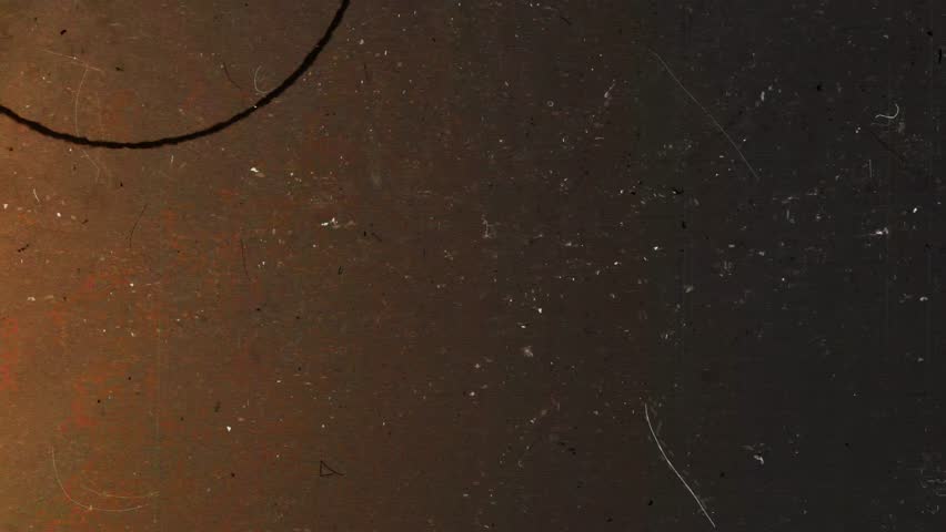 Shutterstock Video