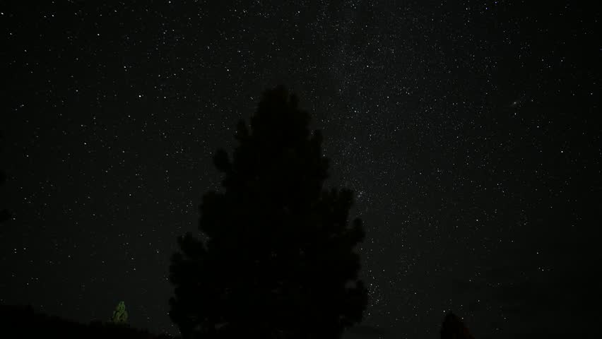 time lapse of stars rotating around a pine tree with moon raising