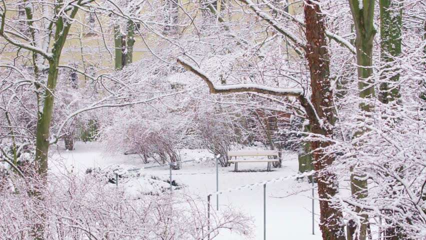 A serene winter scene with snowcovered trees and a bench in a park