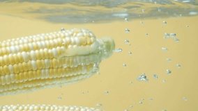 Water Bubbles and Splash Around Corn Cobs Submerged in Clear Water. - Powered by Shutterstock - Get 15% off with code: PIKWIZARD15