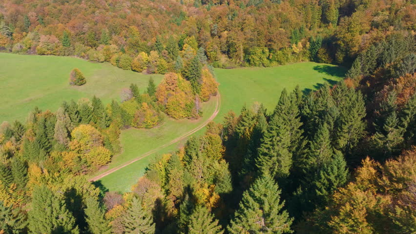AERIAL: Lonely dirt path winds through a sunlit meadow surrounded by colorful autumn forest. Nature created a beautiful contrast between green grass and trees colored in vibrant, warm shades of fall.