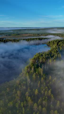 Experience the serene wonders of a Lake at Hossa National Park in Finland. Lush forests and misty waters create a tranquil atmosphere perfect for nature lovers. foggy sunrise over the pine trees