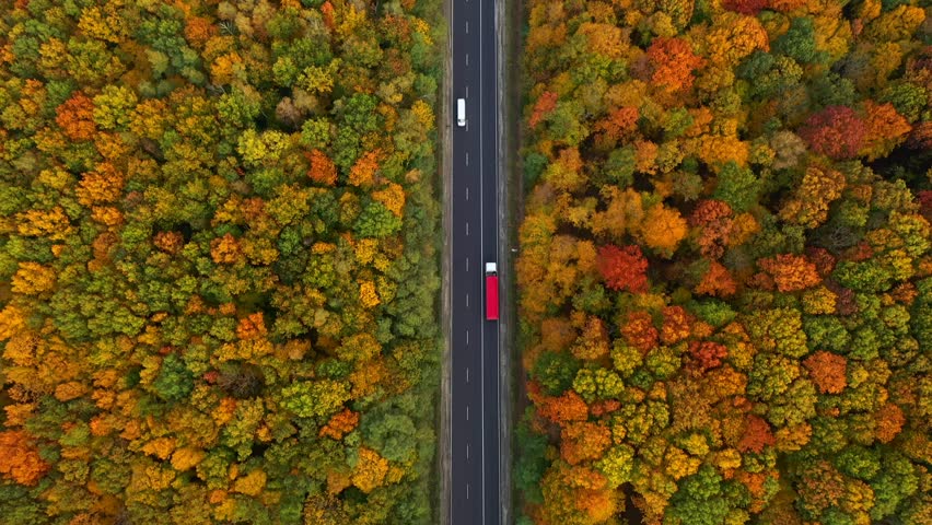 Gorgeous view of a highway passing through a stunning autumn forest. Cinematic footage from a bird's eye view. The camera is pointing down. Filmed in UHD 4k video. Discovery the beauty of earth.