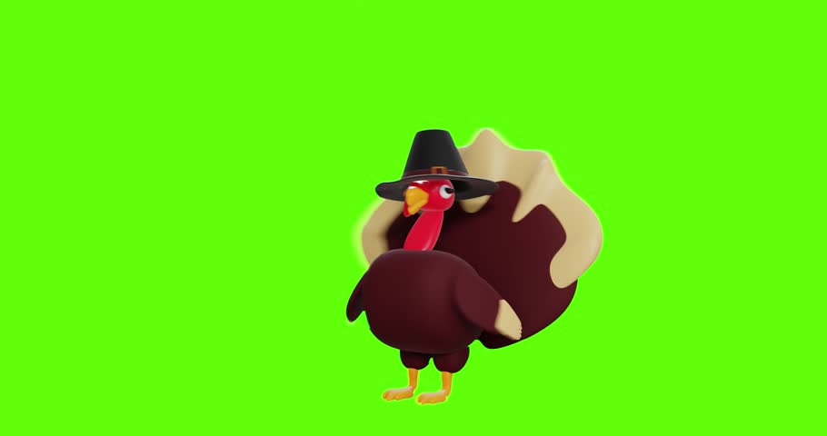 Turkey on monochrome background. Thanksgiving day concept. 3d render video. 