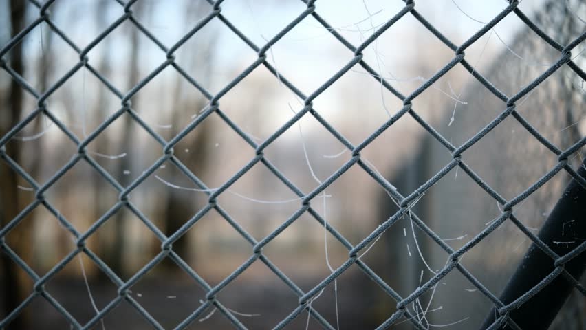 Chain-Link Fence Covered In Morning Frost With A Blurred Background