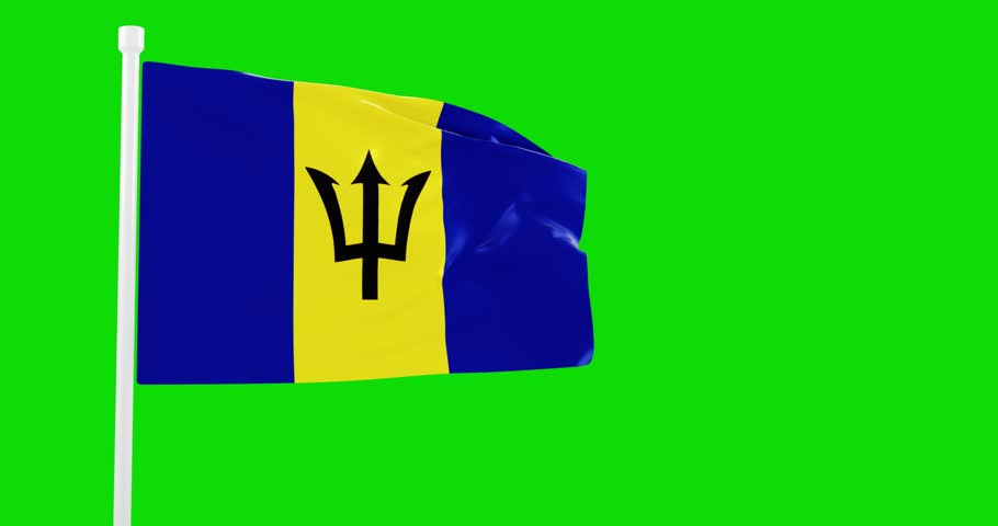 Barbados flag on monochrome background. 3d render video.