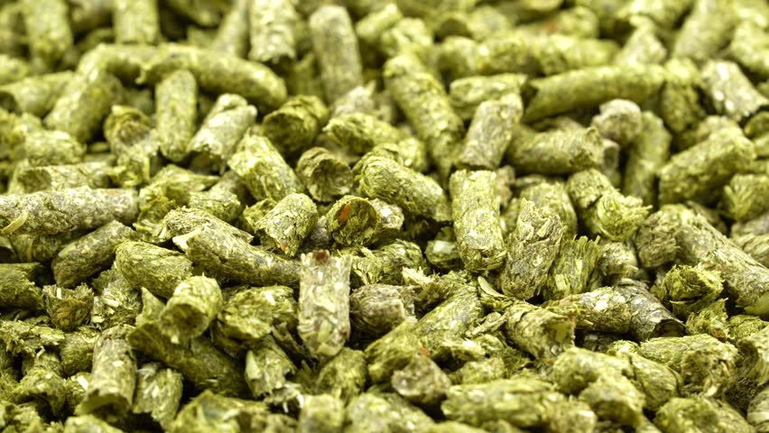 closeup of green timothy grass pellet for rodent pet food feed rotate rotation food video footage texture background