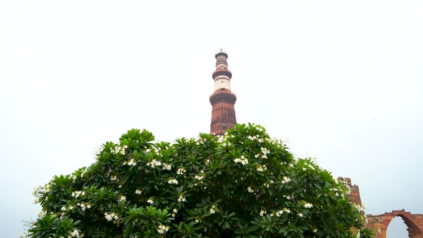 Qutub Minar and Nearby Mosque Architecture