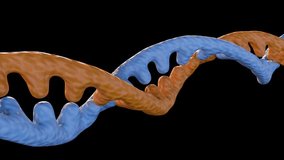 A 3d animation of a double helix. A DNA or RNA molecule. The structure consists of two intertwined, ribbon-like strands, typical of a helical shape. - Powered by Shutterstock - Get 15% off with code: PIKWIZARD15