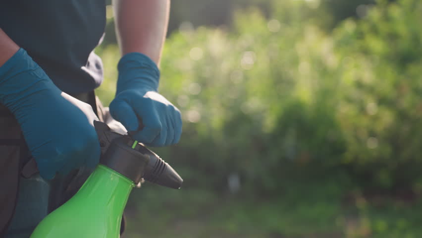 Close up of gardener wearing blue glove pumping green sprayer to fumigate strawberry plants, sunlight bokeh background, focus on hand action and protective care during pest control
