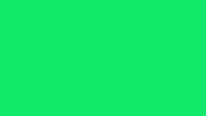 Hand-Drawn Animated Doodle Pack. Cute animation, Scribble Animation Bundle with Green Screen