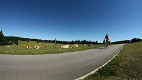 Man cycling on a tableland near cows