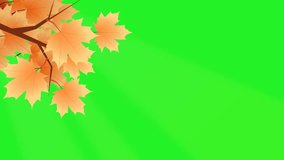 Autumn falling leaves animation with green screen background. Seasonal motion graphic featuring golden leaves gently falling, isolated on green background for easy chroma key removal.  - Powered by Shutterstock - Get 15% off with code: PIKWIZARD15