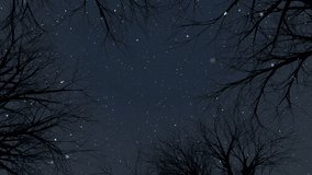 Loop animation of looking up in a forest of dead trees, snowy night - Powered by Shutterstock - Get 15% off with code: PIKWIZARD15