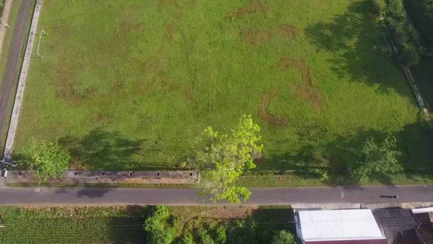 Aerial View Of Green Park Field With Trees, Road, And Shaded Lawn Pattern