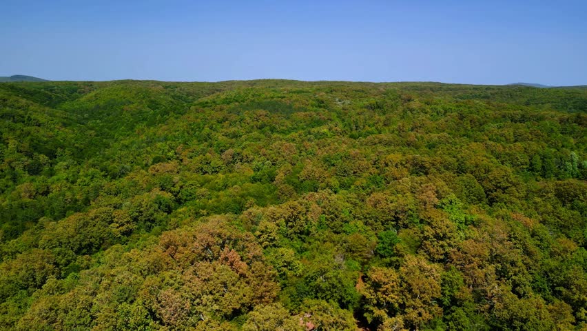 Holy Trinity Chapel located in Strandzha Mountain in the Malko Tarnovo district.