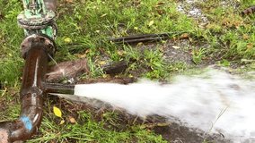 An open water pipe in the forest, watering trees, a hydrant and a water valve. A pipe with water coming out of it. The pipe is green and rusty - Powered by Shutterstock - Get 15% off with code: PIKWIZARD15