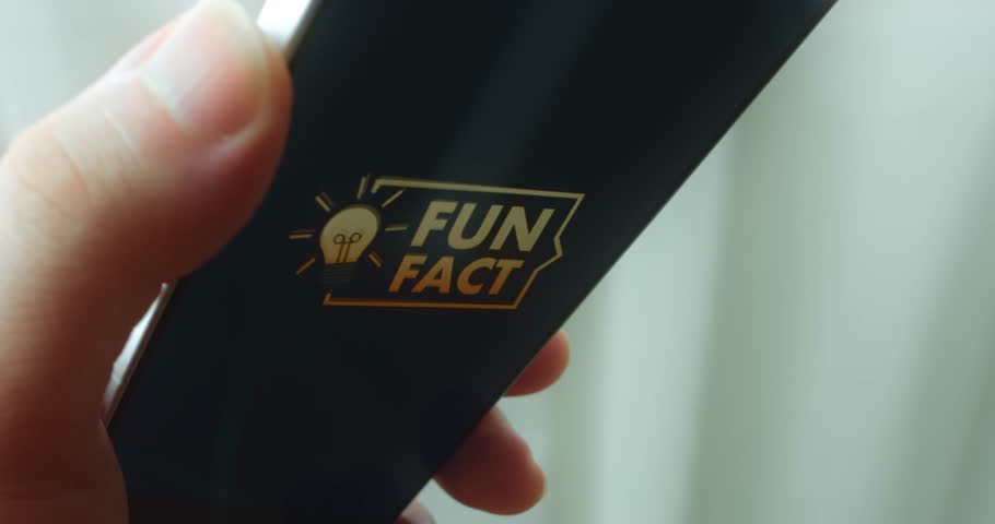FUN FACT words with lightbulb icon, presentation