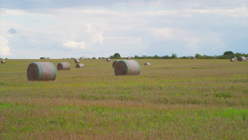 Bales of Hay in a Serene Farm Landscape, embodying the essence of natural beauty and tranquility