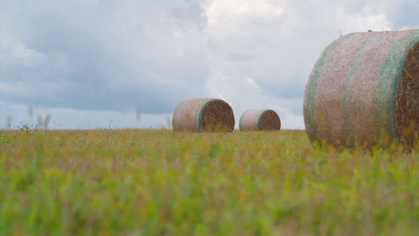Beautiful Scenic Hay Bales Set in a Lush Green Field Under a Clear Blue Sky and Fluffy Clouds
