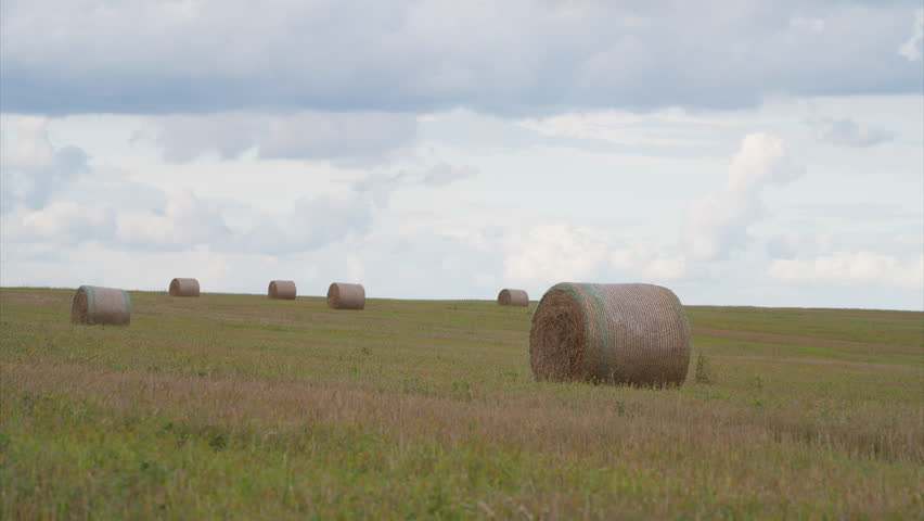 A Beautiful and Scenic Landscape Featuring Hay Bales Wrapped in Fields with Serenity