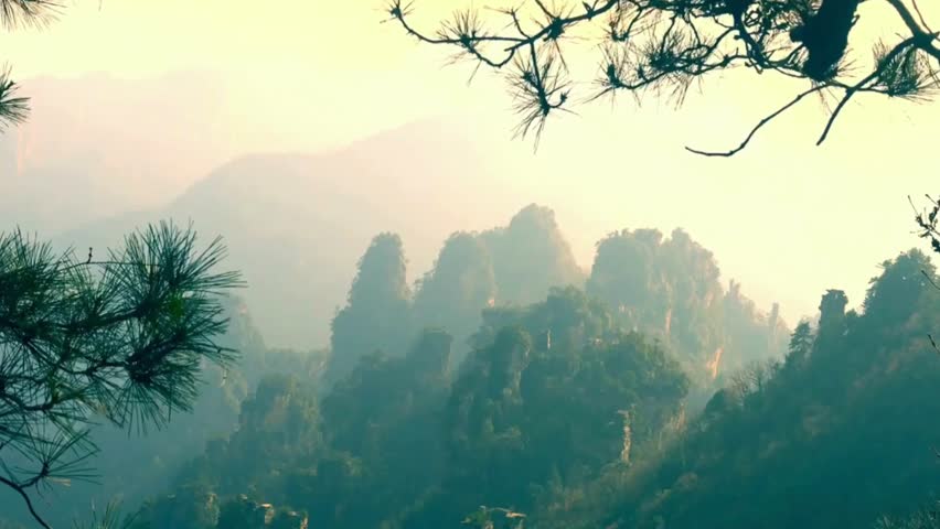 Misty Mountain Landscape with Scenic Pine Trees