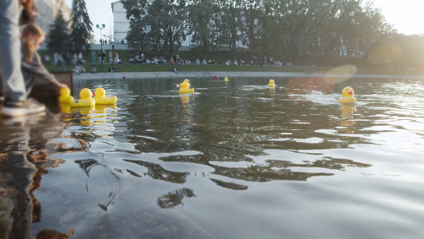 Close-up shot captures child carefully launching yellow motorized duck into shimmering water, setting toy into motion as sunlight highlights splashes and distant ducks float in background.