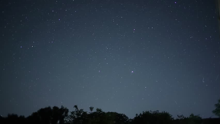 Starry night sky moving over the trees