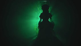 silhouette fantasy woman queen in crown walking in black night garden full fog portal arch flowers, art neon green magic light. Gothic mysterious Girl in dark nature long lush dress in forest smoke 4k - Powered by Shutterstock - Get 15% off with code: PIKWIZARD15