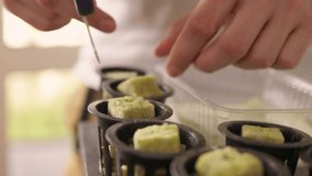 Human hand placing rock wool cubes with young sprouts into net pots for hydroponic system at home, demonstrating sustainable indoor gardening for fresh vegetables, close-up, slow motion. - Powered by Shutterstock - Get 15% off with code: PIKWIZARD15