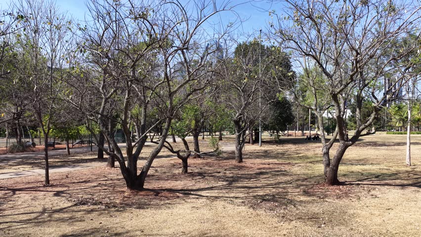 Parque Do Povo At Sao Paulo In Brazil. Nature Park Landscape. Downtown City Scenery. Highrise Buildings. Parque Do Povo At Sao Paulo In Brazil. Financial District. Sao Paulo Brazil.