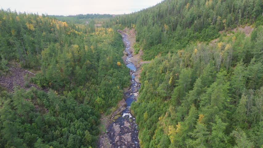 Aerial view tracks a narrow mountain stream through dense taiga to Lake Lama. Soft daylight shows larch and golden birch, hinting at early fall. The wild corridor invites travel in Putorana Plateau