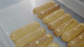 Rows of freshly made eclairs rest inside a well-lit display refrigerator, showcasing their creamy filling and crisp, golden exterior perfect for any pastry shop display. - Powered by Shutterstock - Get 15% off with code: PIKWIZARD15