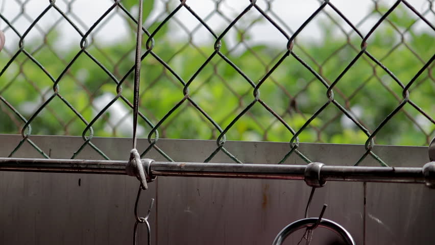 A person walks past a window covered by a chain-link fence, looking out to a blurred green background, evoking a feeling of separation or confinement