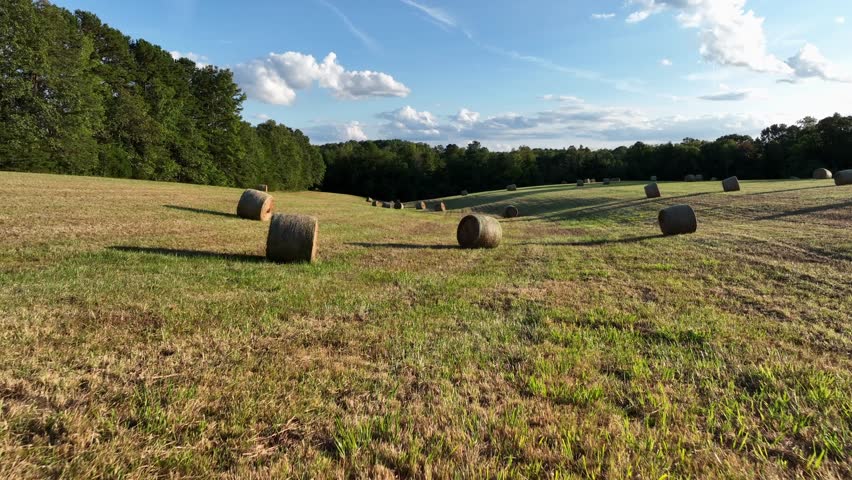Hay bales on hilly grass fields of American countryside. Aerial forward shot. Sunset time with blue sky. Green forest trees in background. Dolly shot.