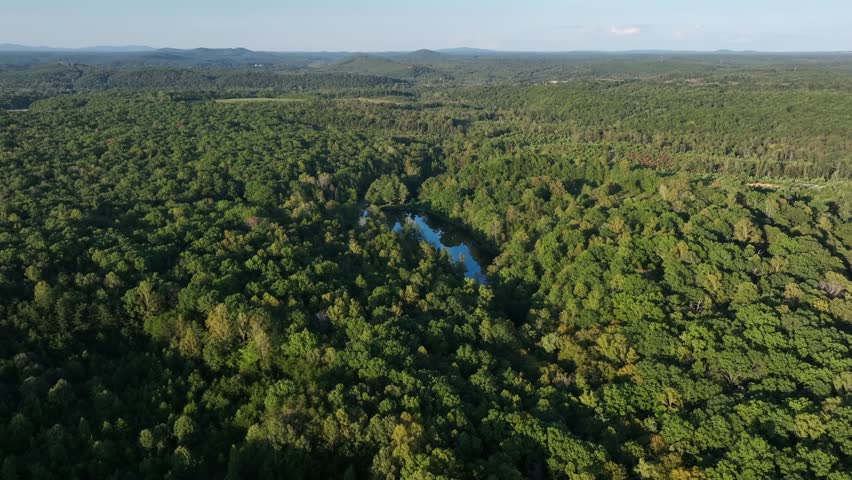 Lake surrounded by green forest and scenic landscape in USA. Aerial approaching descend shot. Sunny late summer season in suburb area of town.