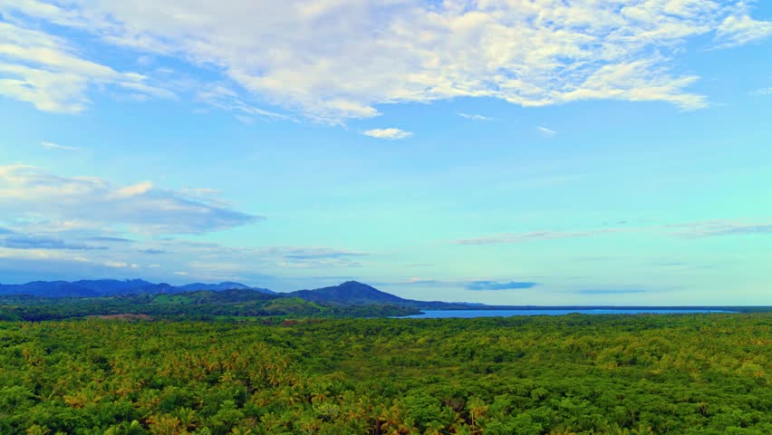 A morning landscape of wild nature at dawn. A drone view of the endless lush pastures of the Dominican Republic. A landscape of green tropical forest and blue summer sky. A rural mountain landscape.
