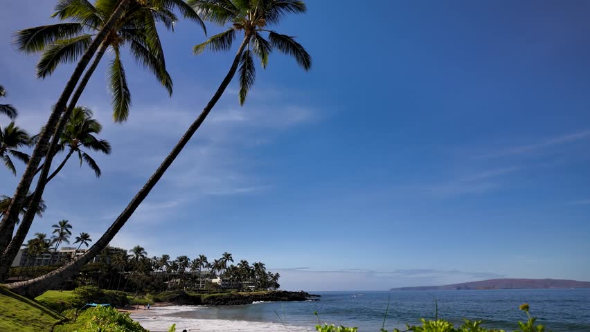 Beautiful view from Wailea Beach, Maui. Palm Trees, blue sky, ocean waves.