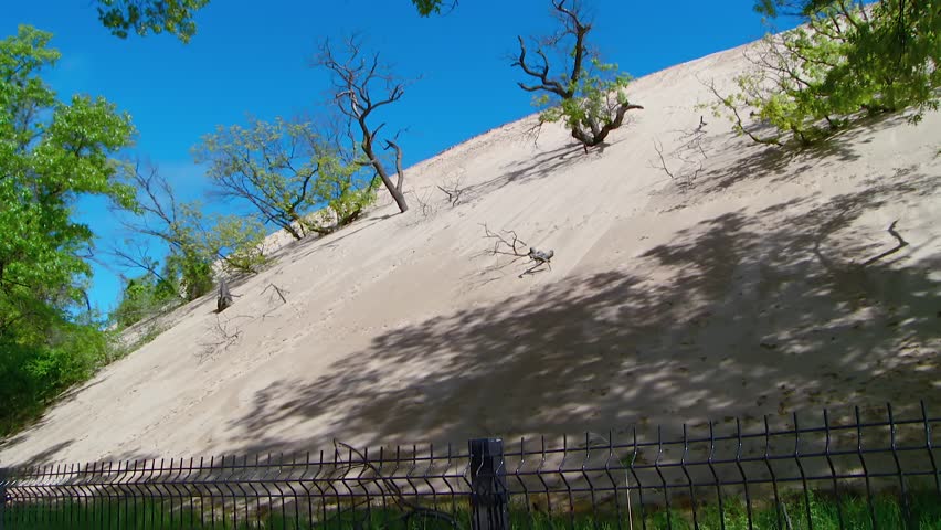 Trees And Desert Sand Dunes At Indiana Dunes National Park In The United States. Static Shot