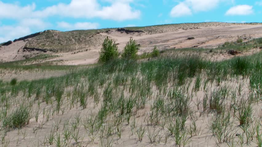 Sand Dunes With Green Grasses Under A Blue Sky At Indiana Dunes National Park In USA. - wide shot